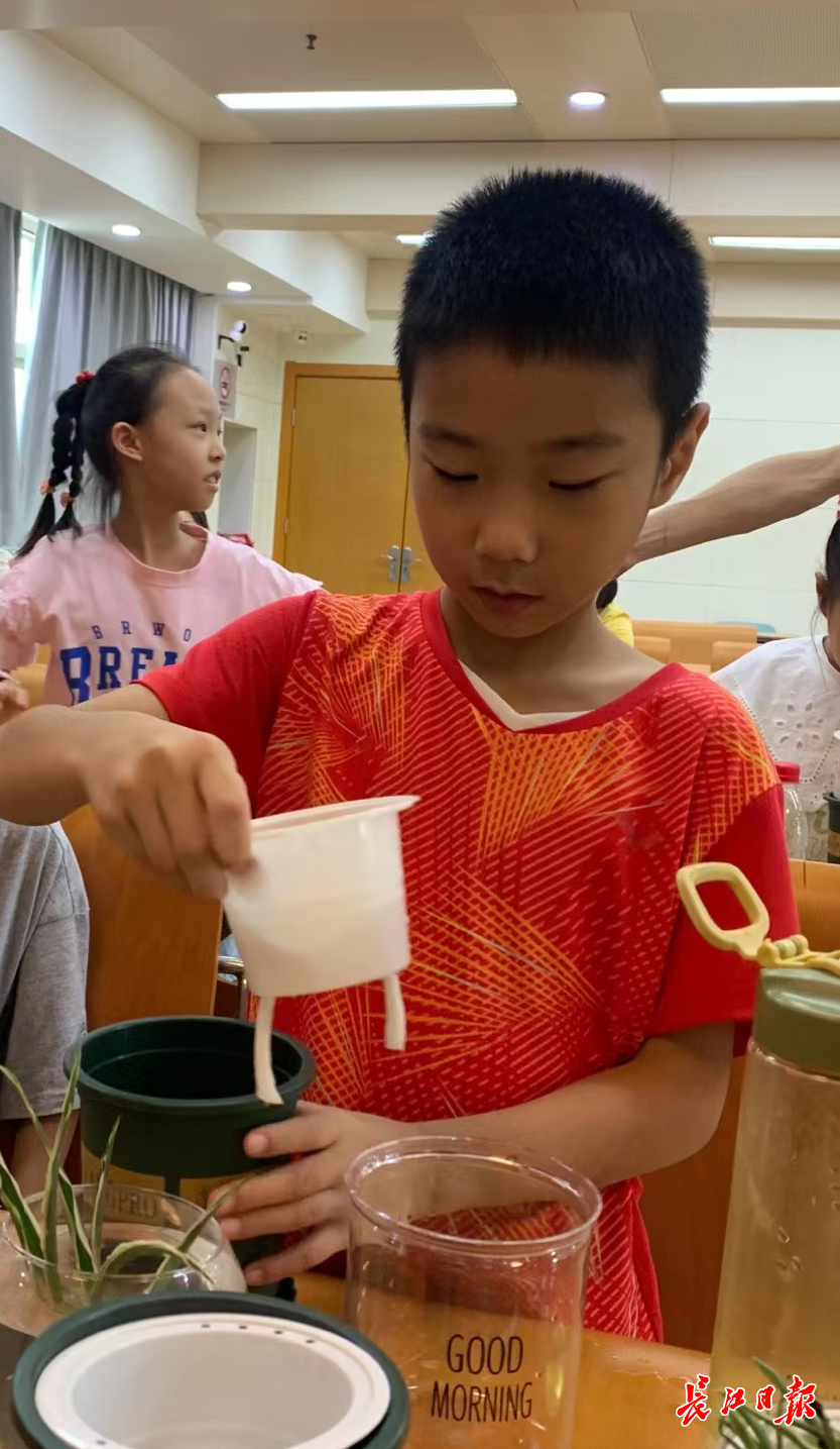 小豆芽绿怎么变黄_豆芽变得不新鲜了能吃吗_豆芽会变绿是通过什么