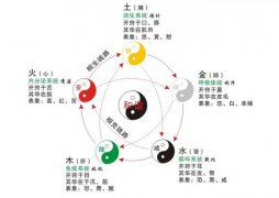 什么是五行养生？(中医养生与五行的关系)